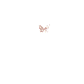 wonderartphotography.com